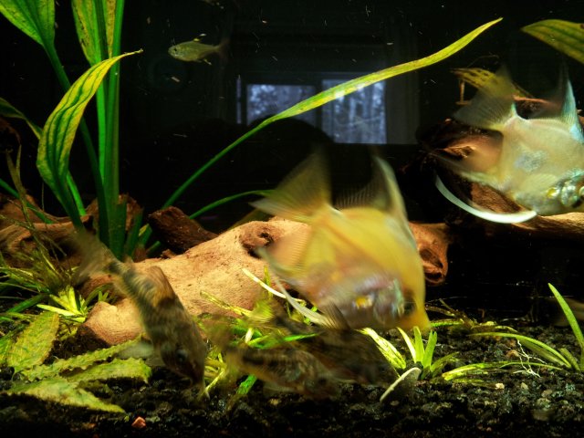 20130228_153314.jpg