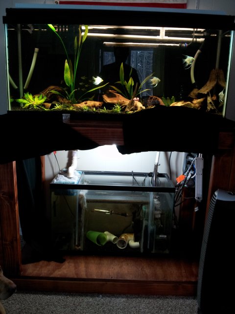 20130228_153401.jpg