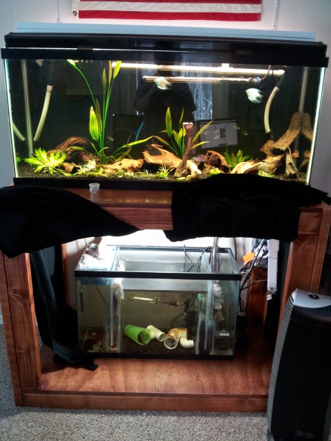 20130228_153413.jpg