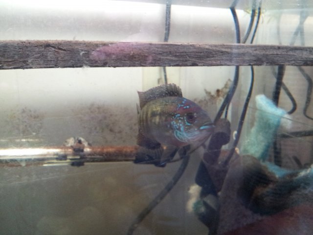 20130228_153457.jpg