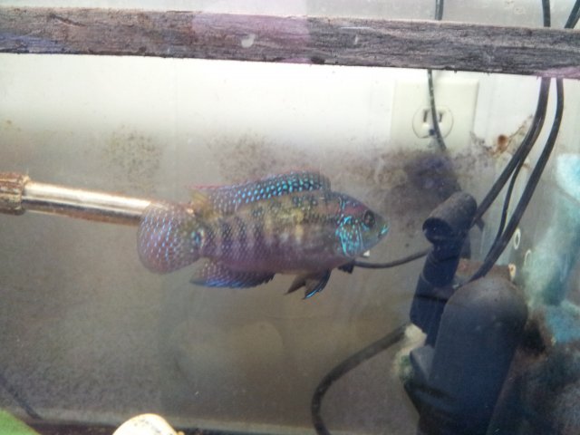 20130228_153502.jpg