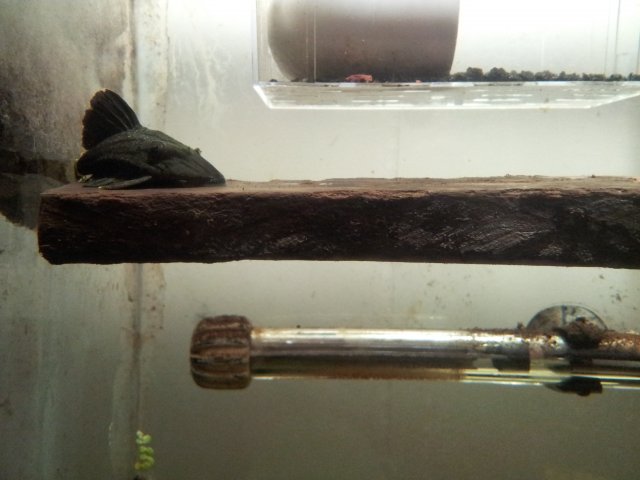 20130302_120807.jpg