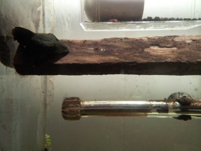 20130302_120836.jpg