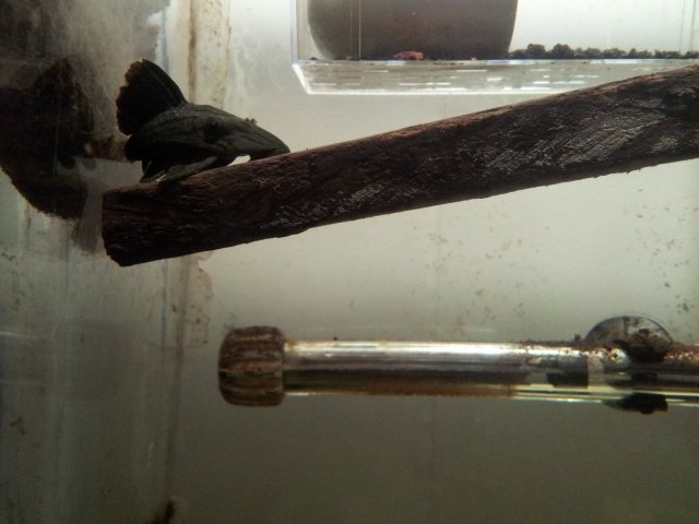 20130302_120901.jpg