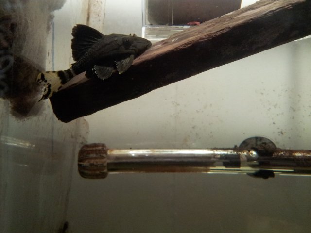 20130302_120928.jpg