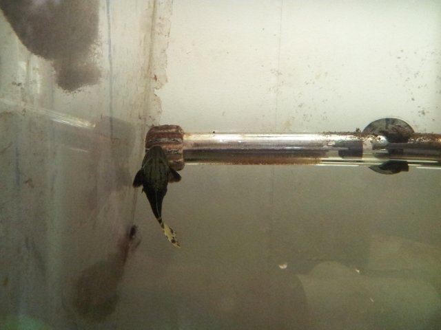 20130302_120940.jpg