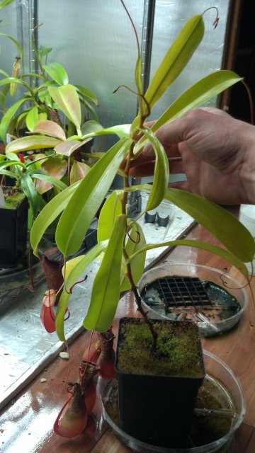 2013-03-04_19-35-49_211.jpg