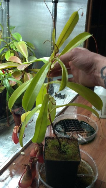 2013-03-04_19-35-56_456.jpg