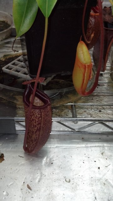 2013-03-04_19-45-06_876.jpg