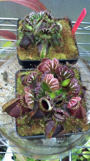 2013-03-04_19-45-37_750.jpg