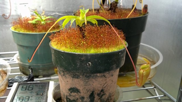 2013-03-04_19-46-02_992.jpg