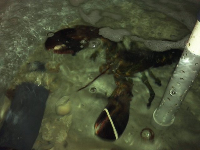 IMG_20130309_110813.jpg