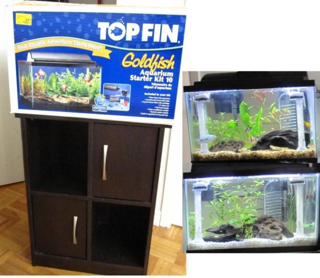 fish 1.JPG fish 1.JPG