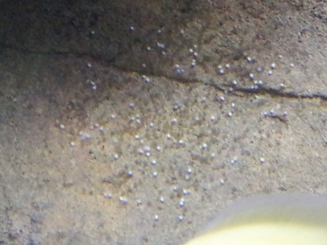 uploadfromtaptalk1365776502493.jpg uploadfromtaptalk1365776502493.jpg