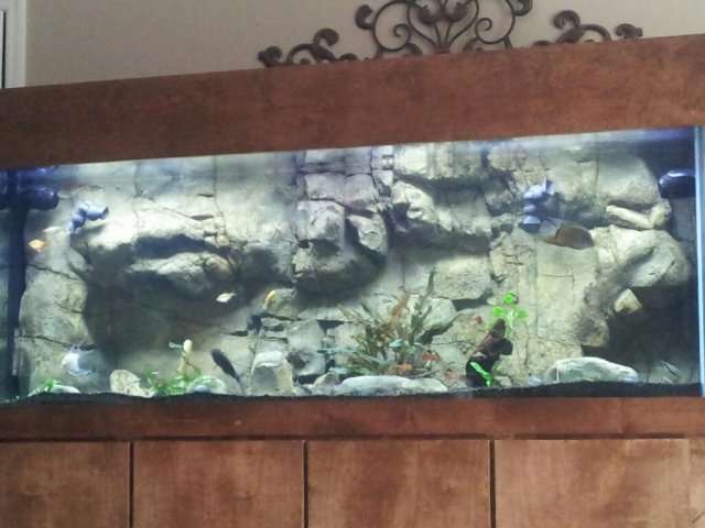 uploadfromtaptalk1365778284019.jpg uploadfromtaptalk1365778284019.jpg