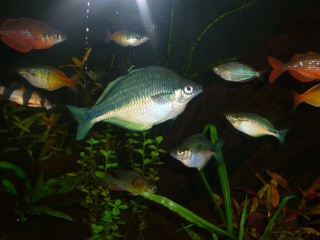 P1100766.JPG