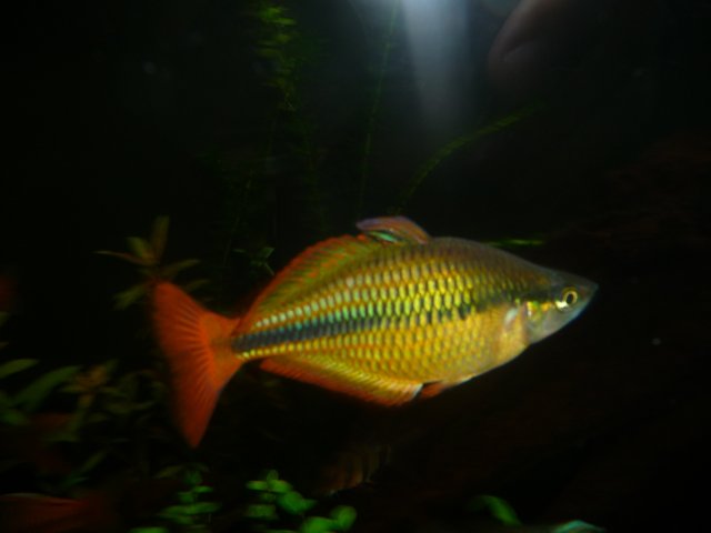 P1100813.JPG