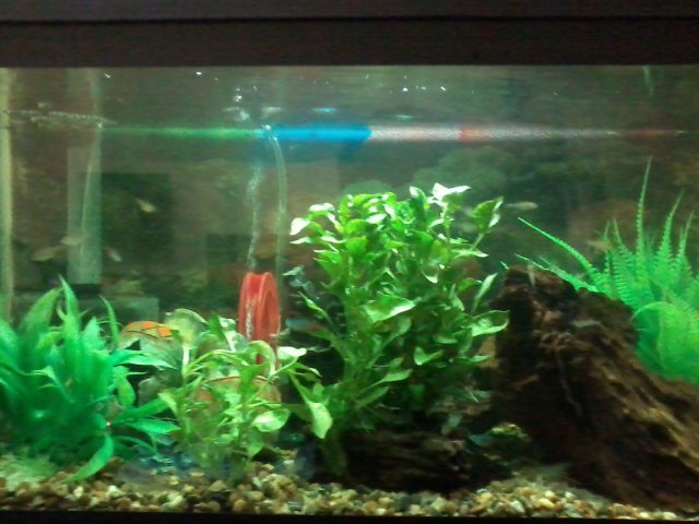 Photo0226.jpg Photo0226.jpg