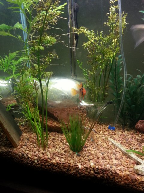 20130423_231753.jpg