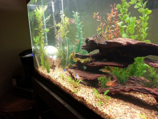 20130423_231805.jpg