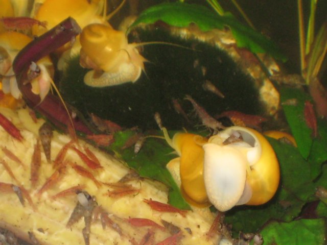 April 27 2013 064.JPG