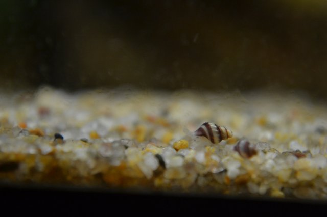 DSC_0548.JPG