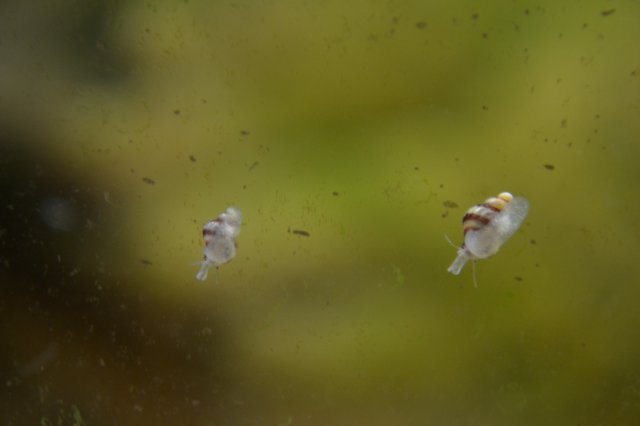 DSC_0546.JPG