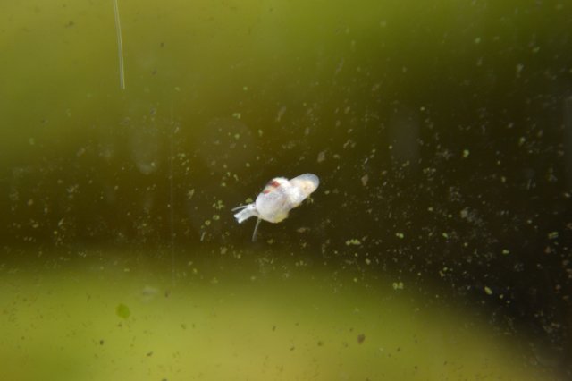 DSC_0543.JPG