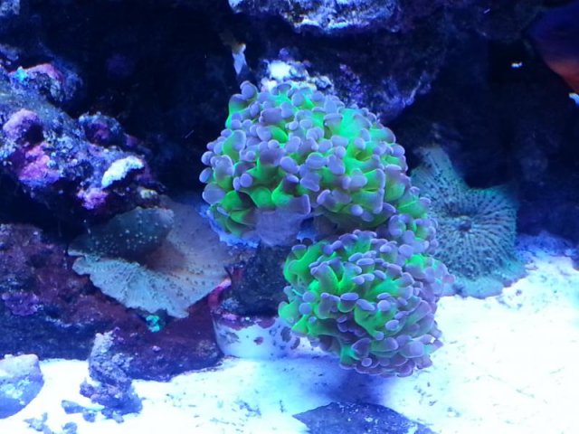 20130420_130637.jpg