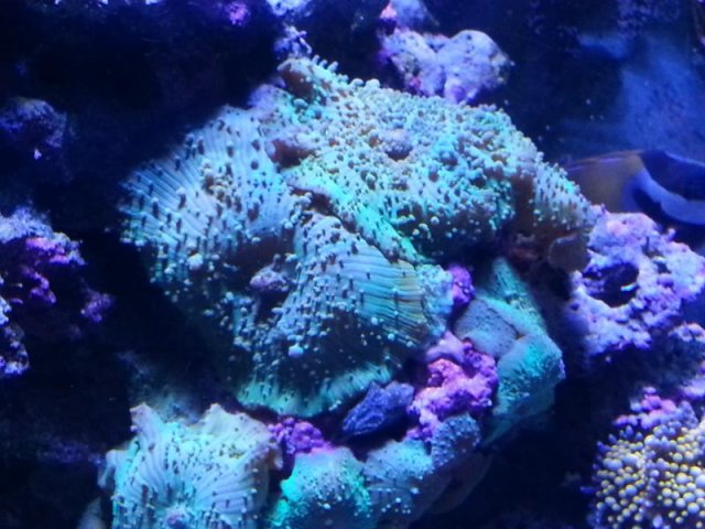 20130420_130624.jpg