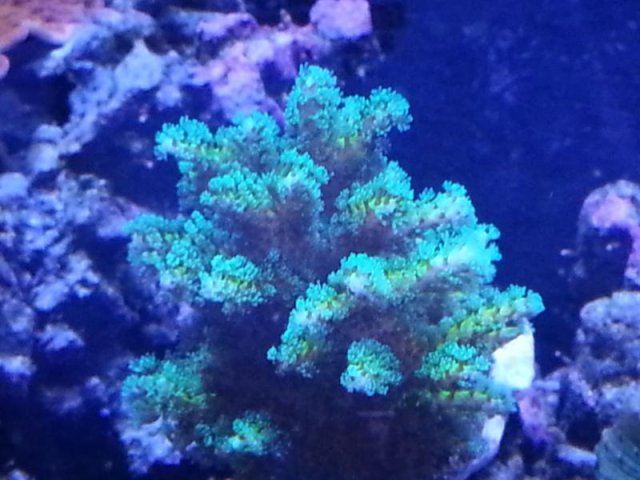 20130420_130532.jpg