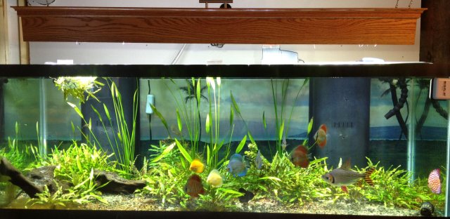 FTS.jpg