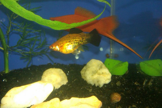 IMAG0215.jpg