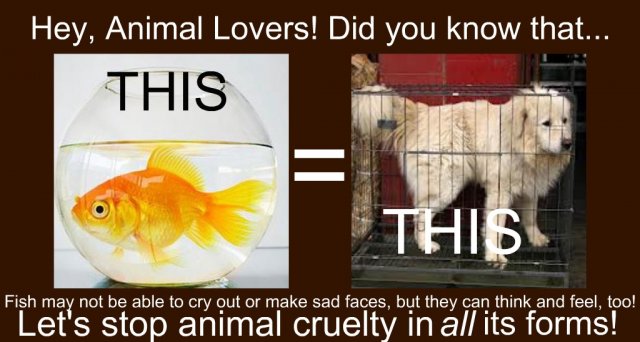 Animal Cruelty.jpg