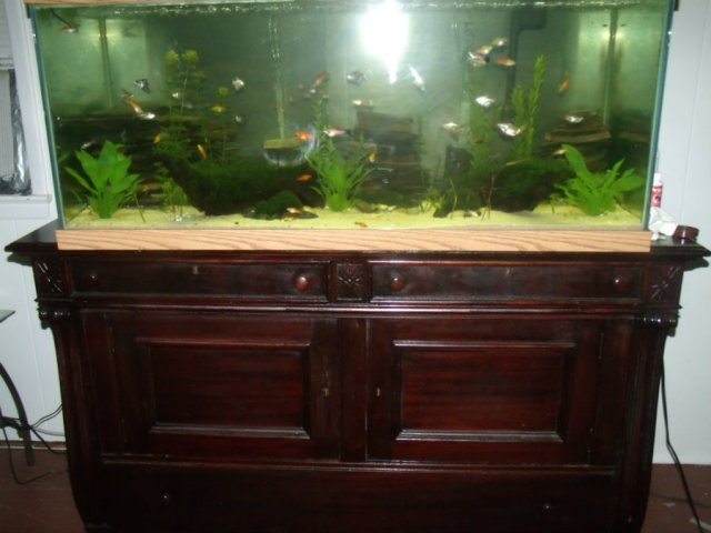 Aquarium Stand.jpg