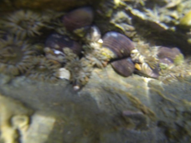 GOPR0647.JPG GOPR0647.JPG