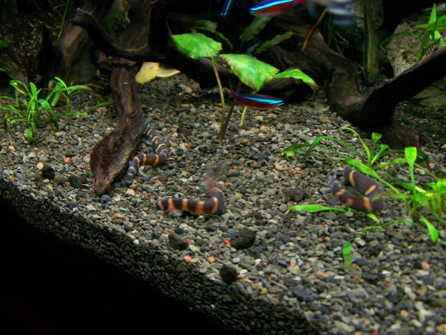 100_6228.JPG