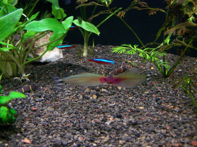 100_6232.JPG