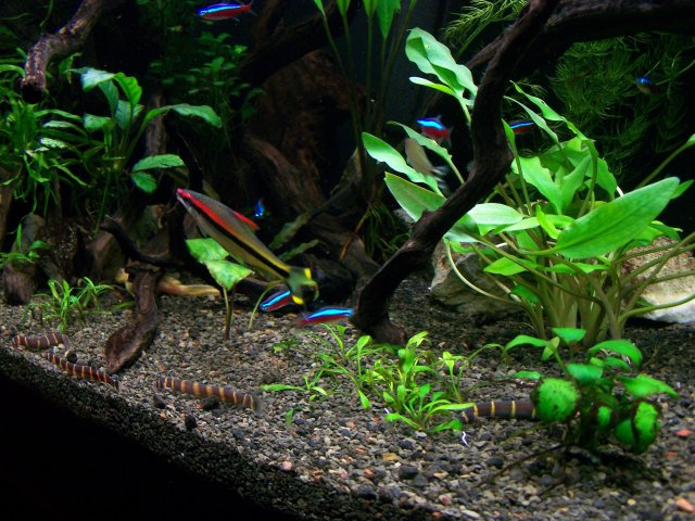 100_6234.JPG