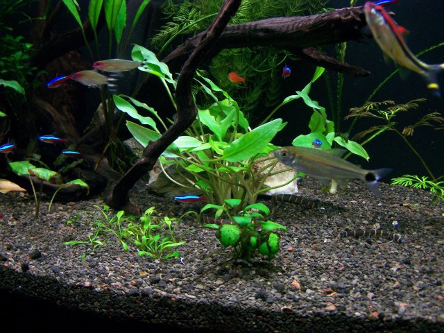 100_6239.JPG