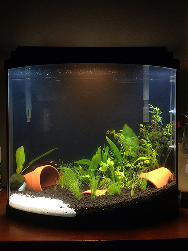 diy aquarium grow lights