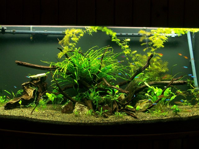 100_6252.JPG 100_6252.JPG