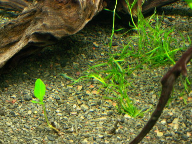 100_6256.JPG 100_6256.JPG