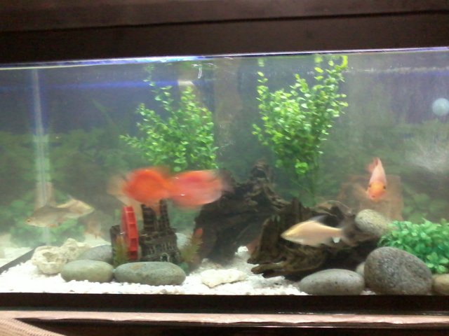 Photo0399.jpg Photo0399.jpg