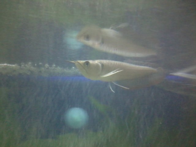 Photo0409.jpg Photo0409.jpg