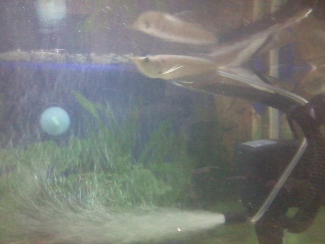 Photo0405.jpg Photo0405.jpg