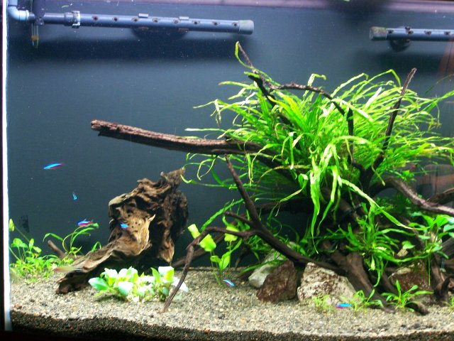 100_6207.JPG 100_6207.JPG