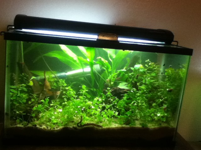 IMG_0882.JPG IMG_0882.JPG