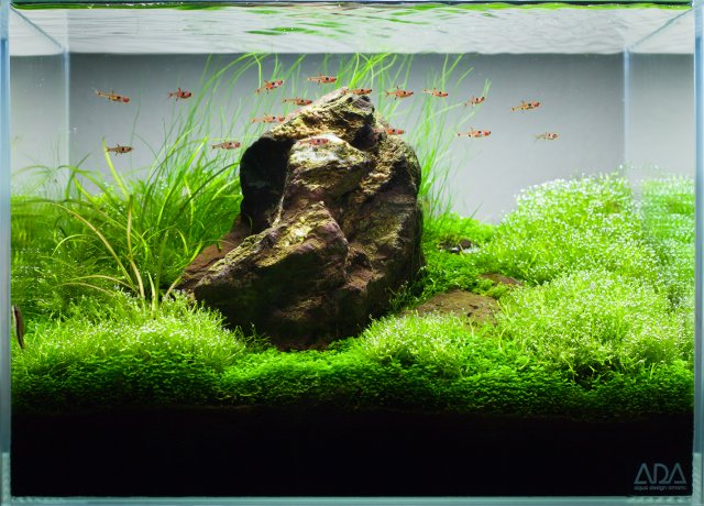 Final-layout.jpg Final-layout.jpg