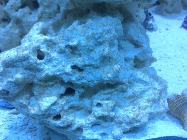 2013-07-15_20-21-44_356.jpg